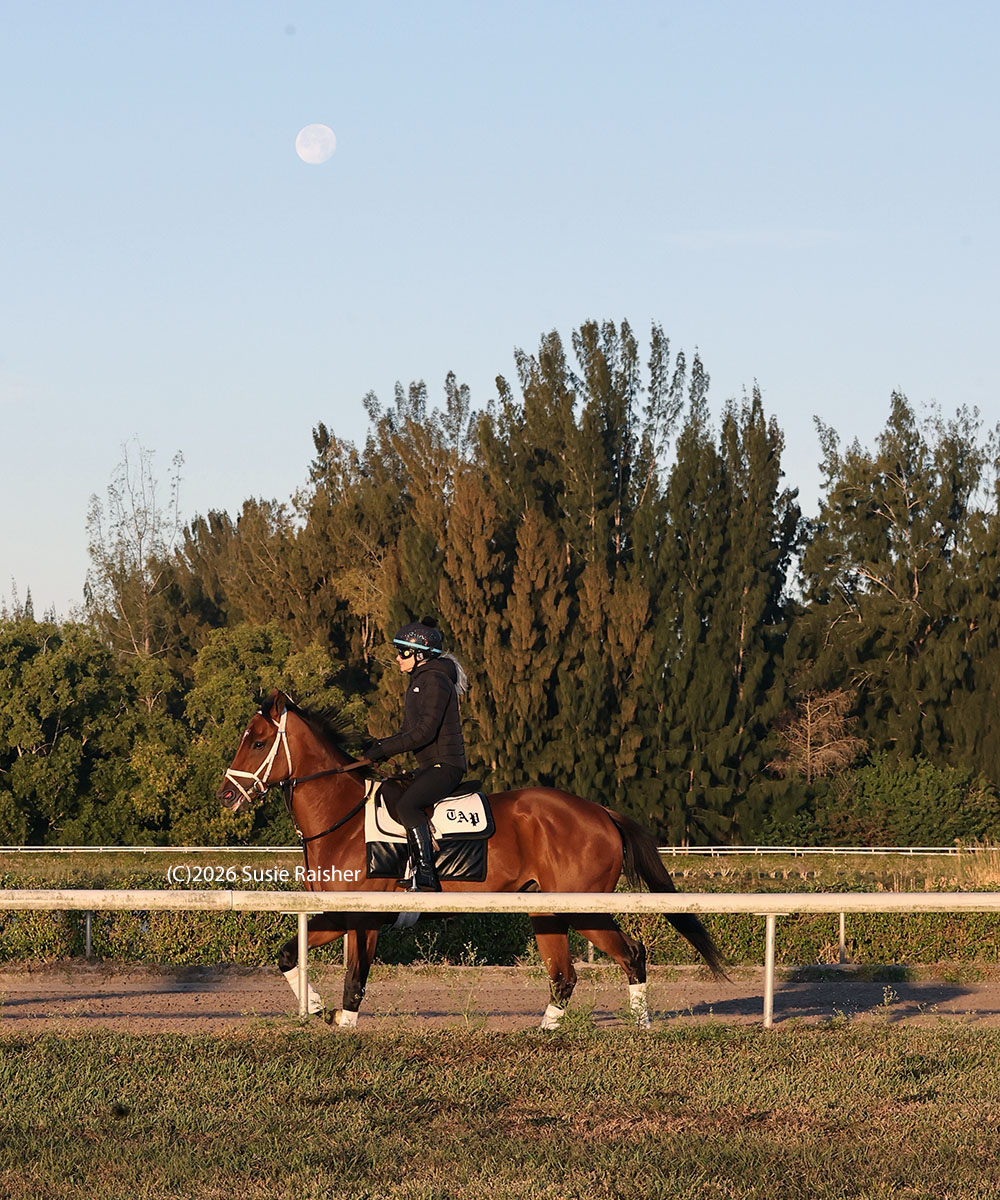 ponyace's tweet photo. Very curious how many times the same exercise rider has been the long-term (vs. picking up a mount when shipping to CD) partner of both the #KYOaks and #KYDerby morning line favorites. That's the case this year for @norzmcc, shown on Zany in March and Renegade in February. https://t.co/MNMewcv2MF