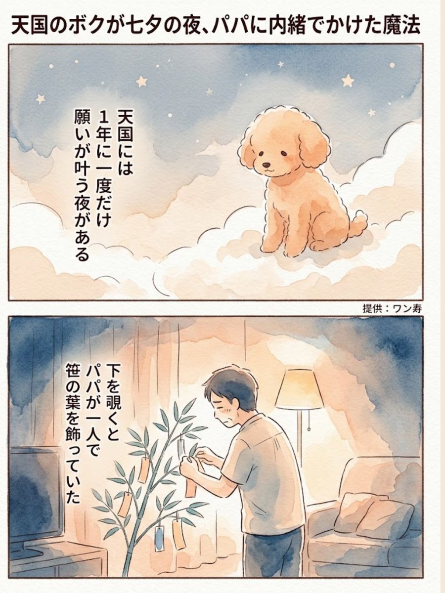 わんわん物語@ワン寿 tweet media