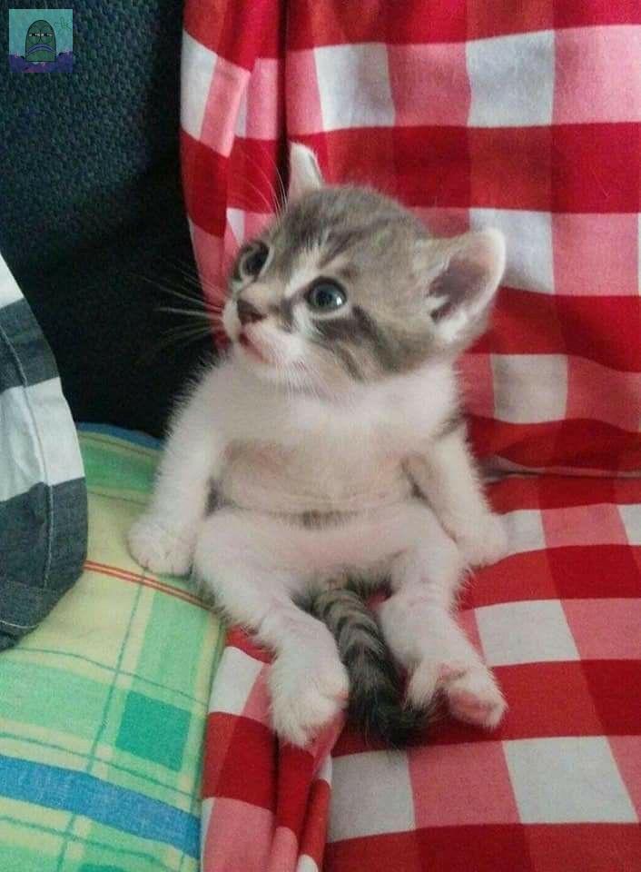 Tanyarl 💚 tweet media