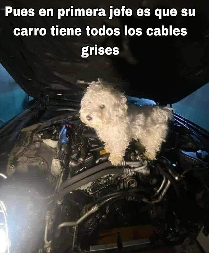 Call me Khaleesi 🐉☕🐉☕🐉 tweet media