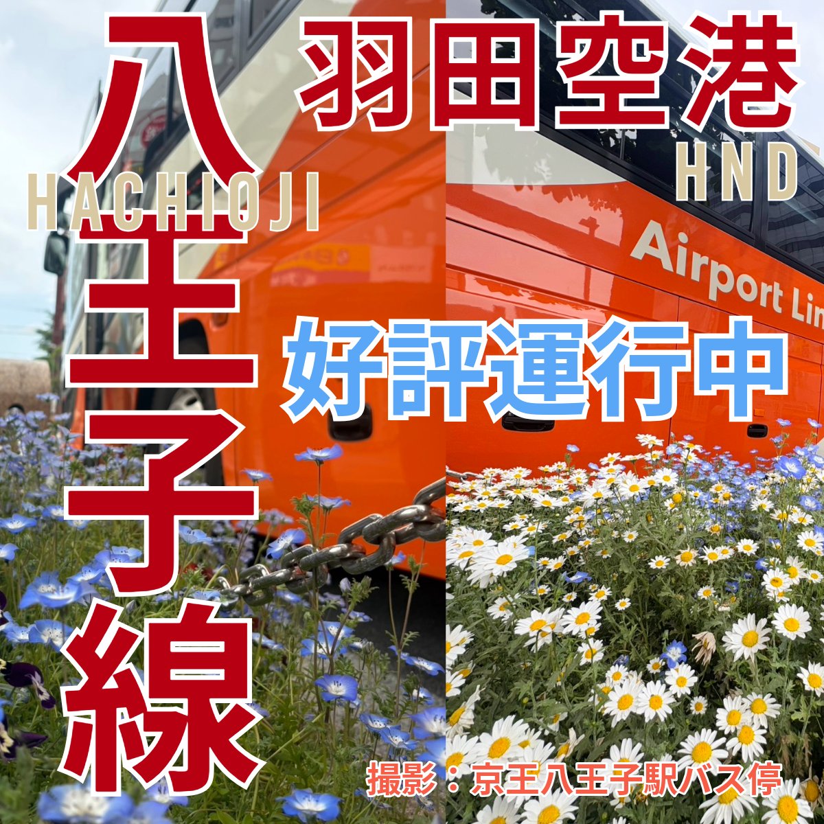 リムジンバス Airport Limousine Bus【東京空港交通】営業企画課 tweet media