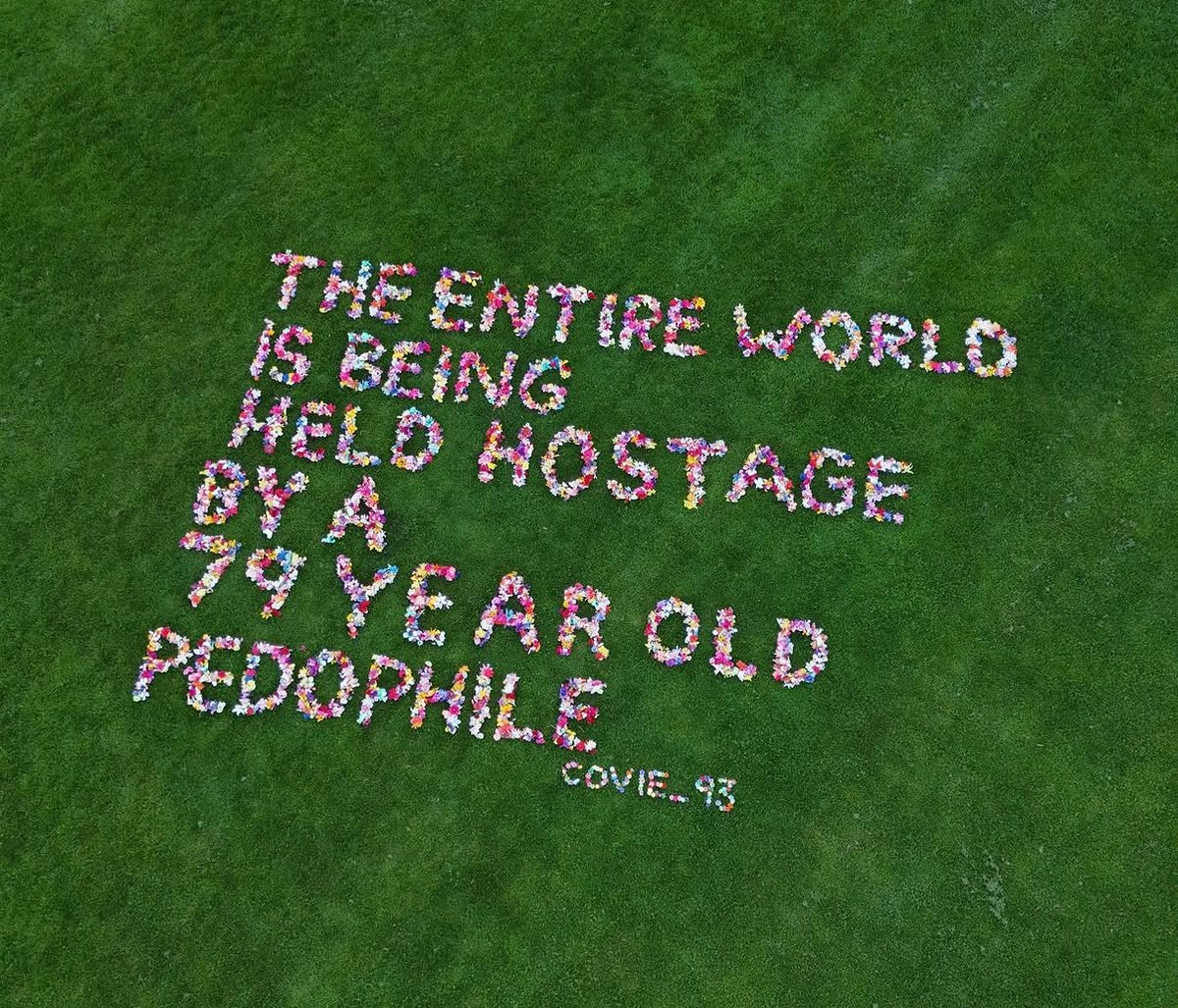 Subi-doo 🐸 tweet media