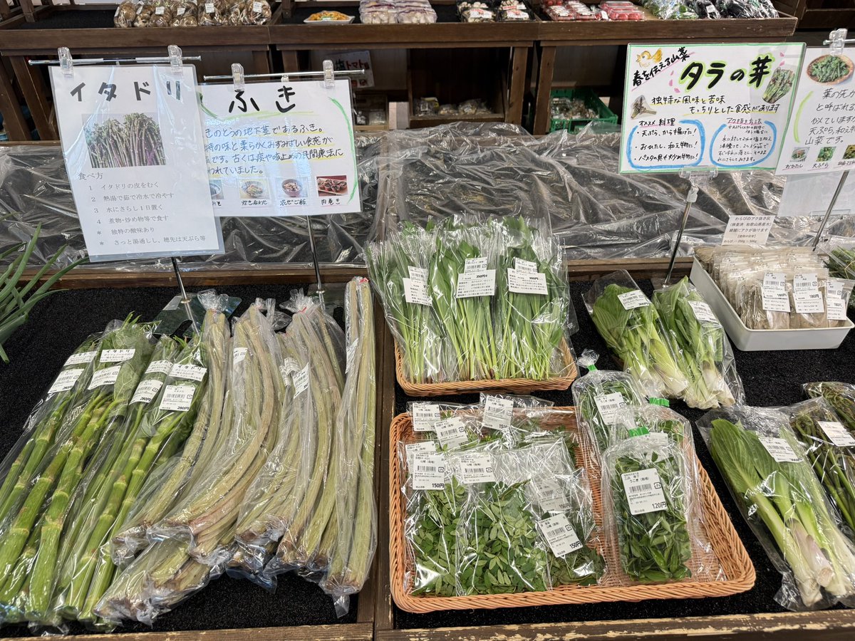 道の駅国見あつかしの郷【公式】🍒🍑🍇🍐🍎🍓 tweet media