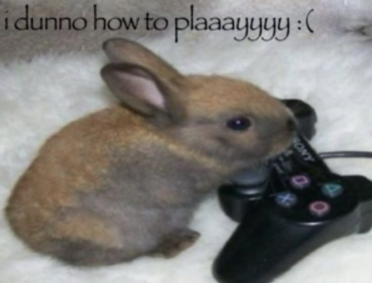 DomDom182189's tweet image. I hope everyone has a good day and they hit their goals 🥧
I improved my ELA grades by a few points, even if it's little improvement it's still improvement like how if you lose a pound it's still losing ♧
#Positive #Happy #bunny