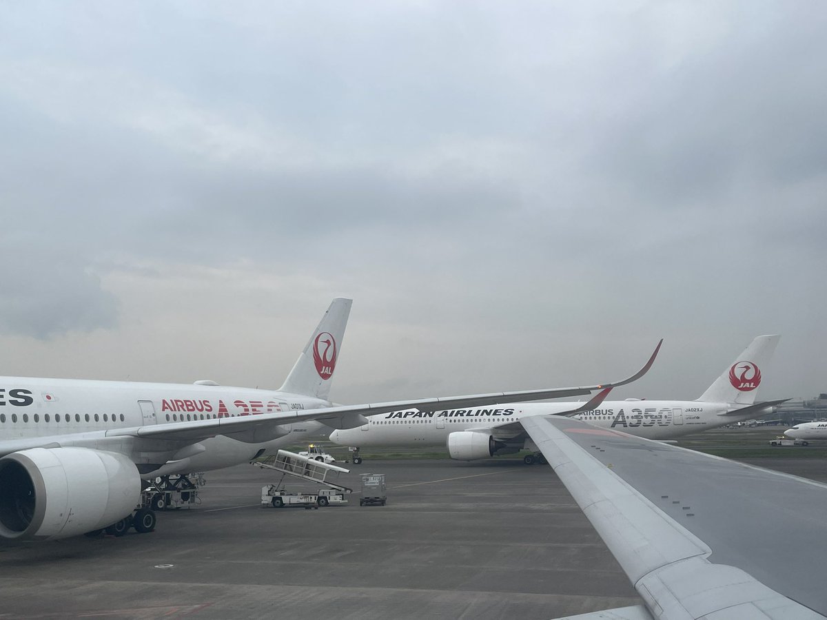 Napinopino2's tweet image. ✈️350祭✈️

羽田で搭乗後横を見るとA350の初号機と2号機が並んでるー✈️

後ろの席の方も写真撮ってたからきっと飛行機好きなお方😊

#JAL
#HND