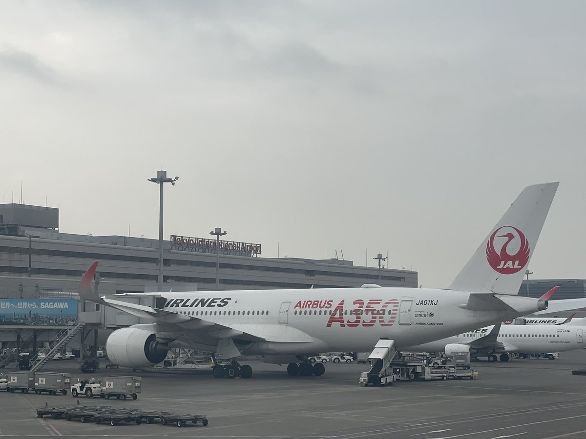 Napinopino2's tweet image. ✈️350祭✈️

羽田で搭乗後横を見るとA350の初号機と2号機が並んでるー✈️

後ろの席の方も写真撮ってたからきっと飛行機好きなお方😊

#JAL
#HND