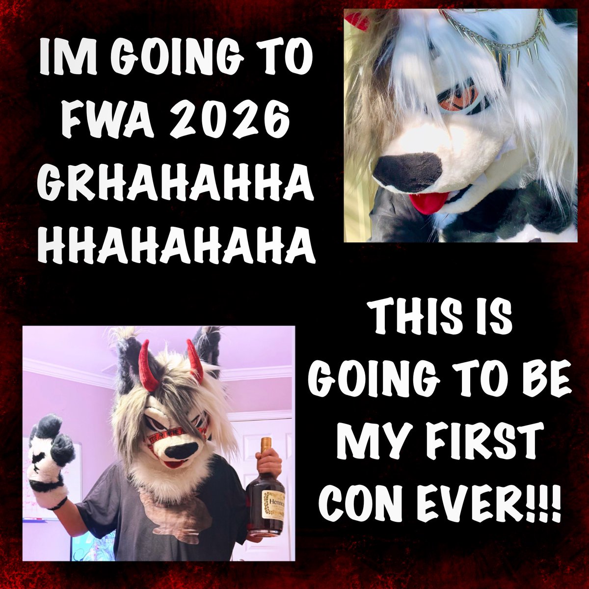 Dazed 🔜 FWA 2026 tweet media