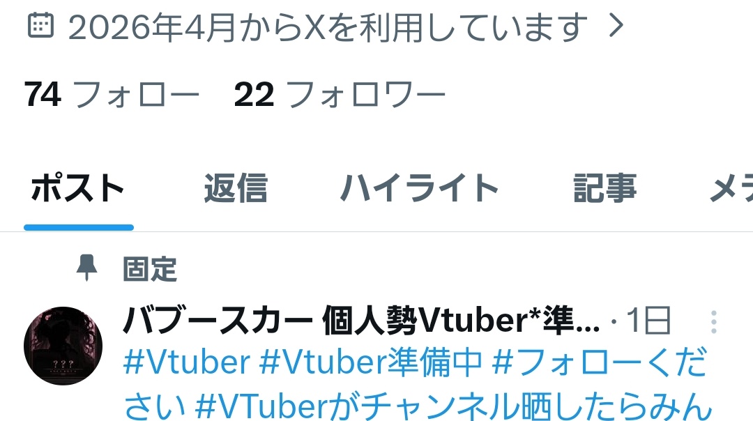 バブースカー 個人勢Vtuber*準備中 tweet media