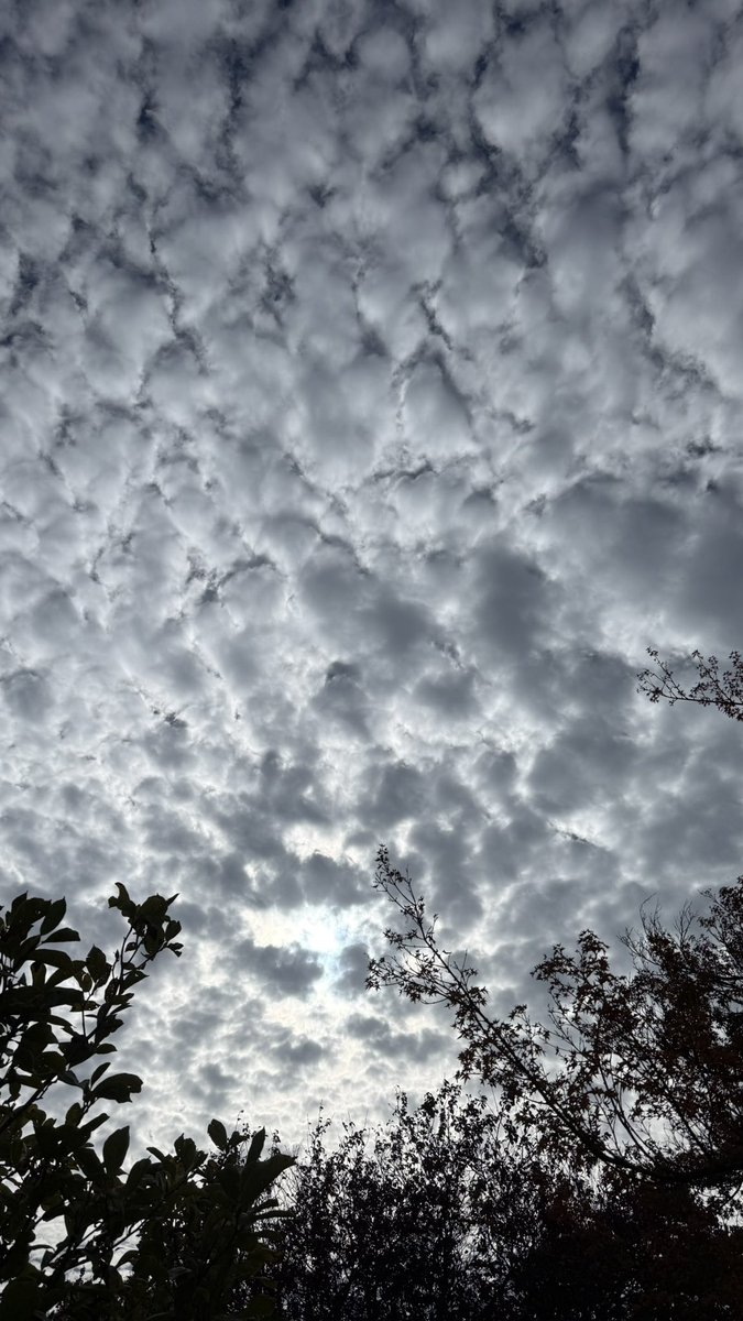 wapple15's tweet image. I do believe we have a nominee for #CloudmentOfTheDay this Wednesday in #Canberra #StormHour