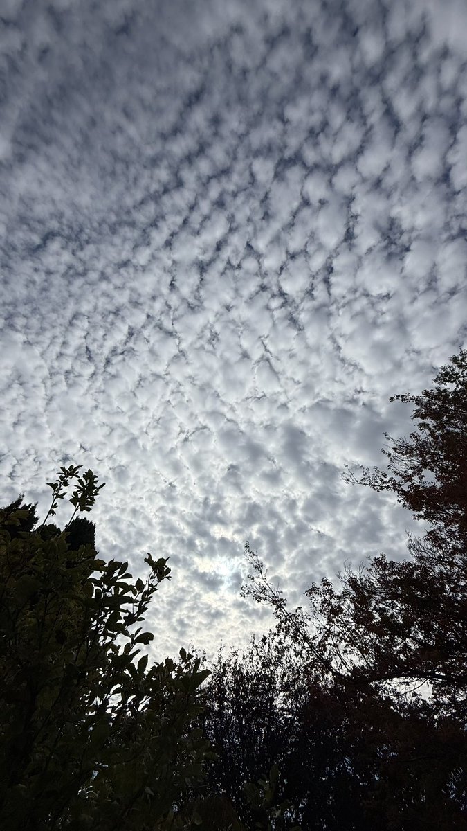 wapple15's tweet image. I do believe we have a nominee for #CloudmentOfTheDay this Wednesday in #Canberra #StormHour