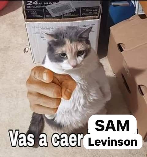 Alfonso Rivadeneyra 🐈 tweet media