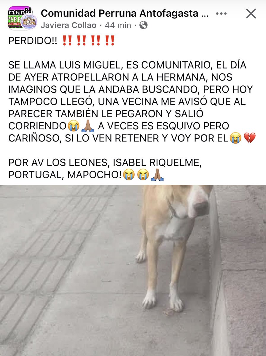 Jordi tweet media