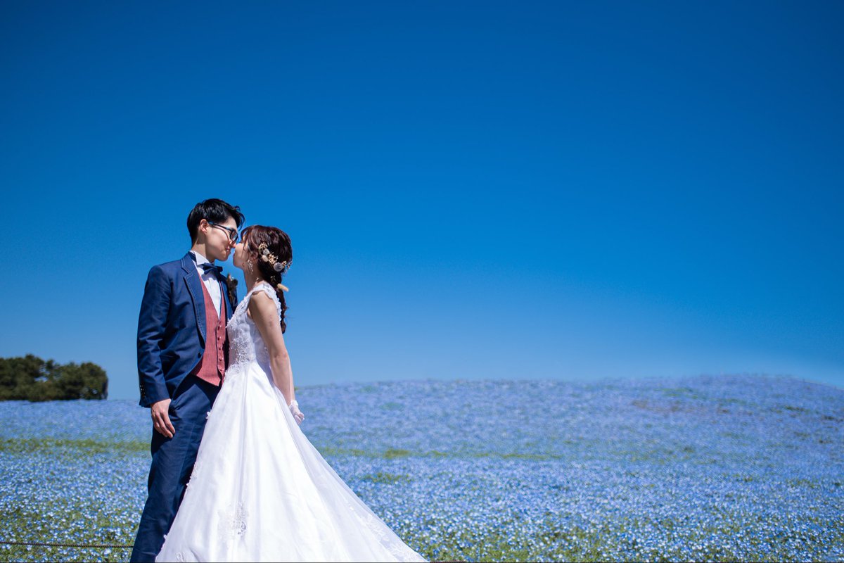 ドレスショップ「ブランシェ」ひたちなか【公式】 tweet media