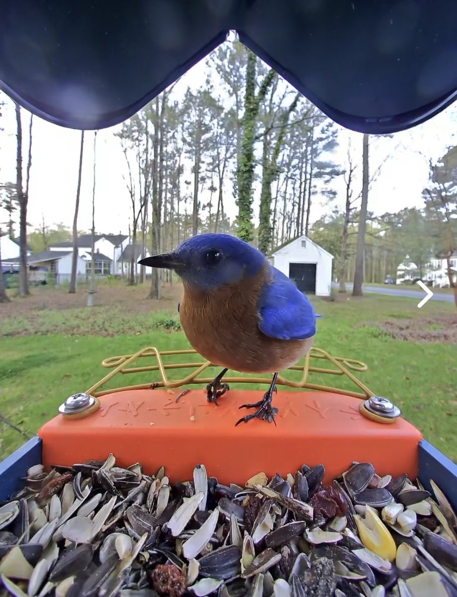 lady interim manager tweet media