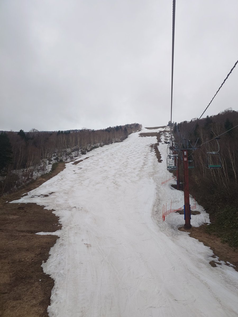 手抜き 42日目 tweet media