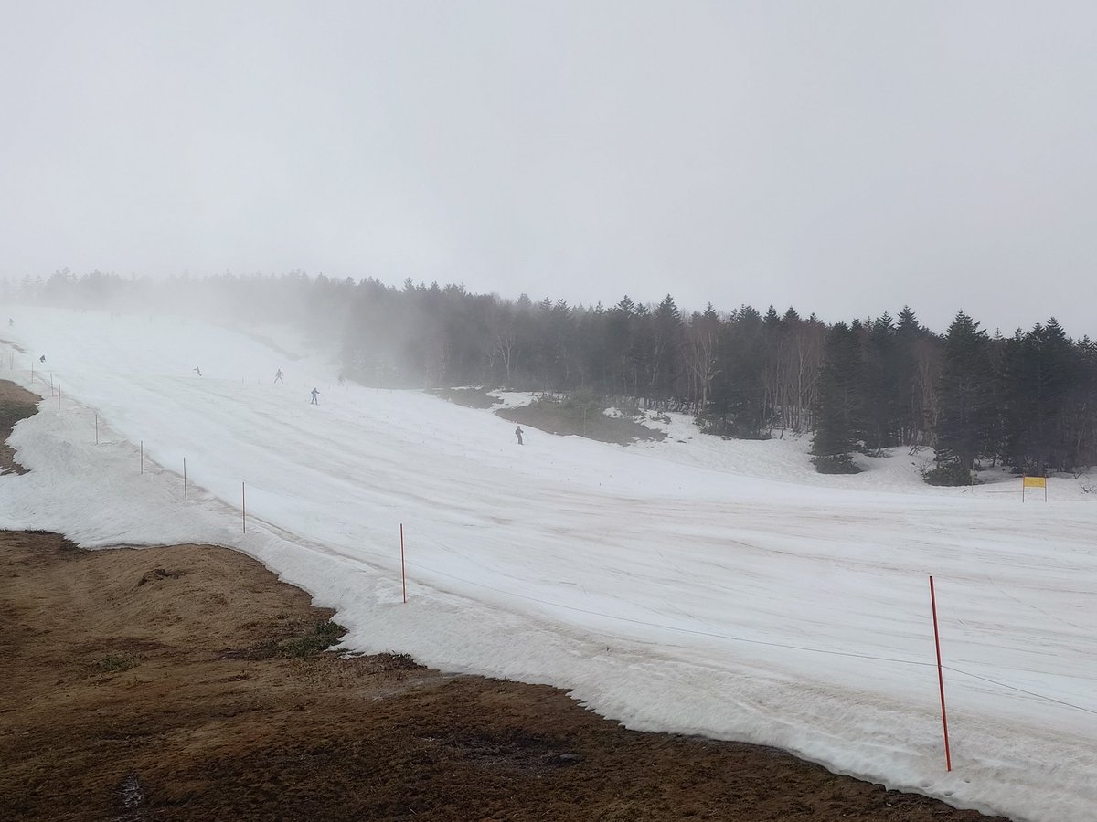 手抜き 42日目 tweet media