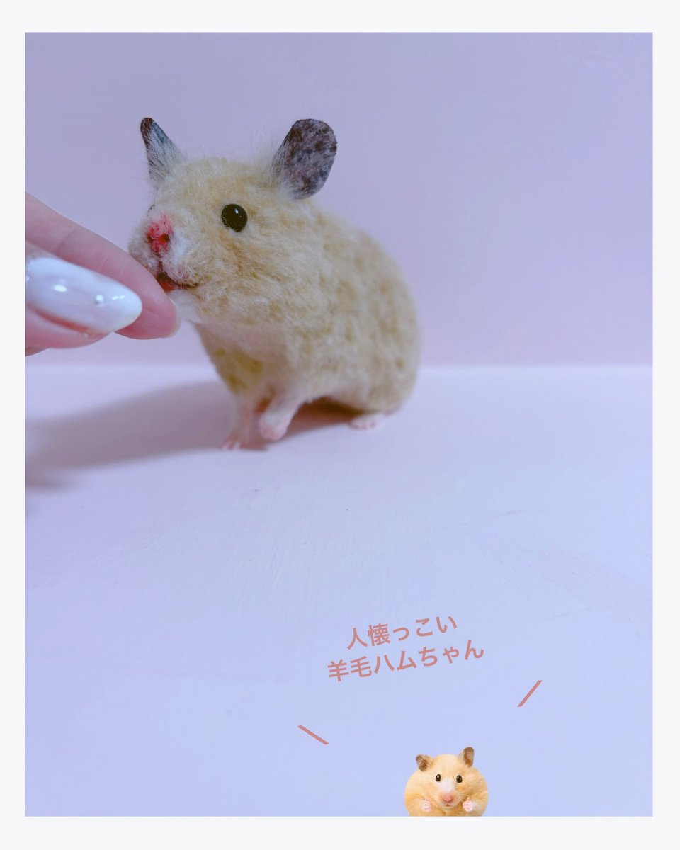 みここꪔ̤̫ ⸝⋆羊毛フェルト作家 (@micoco_ham) / Posts / X