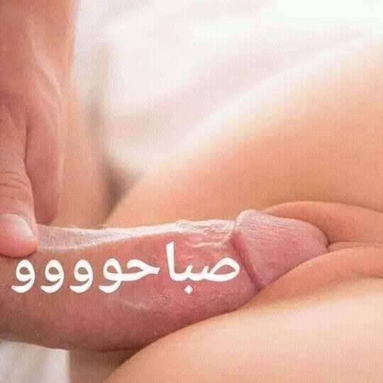 Elpop41384751's tweet photo. @gorde1920 صباح اللبن في كس اختك https://t.co/QzJg70IGEG