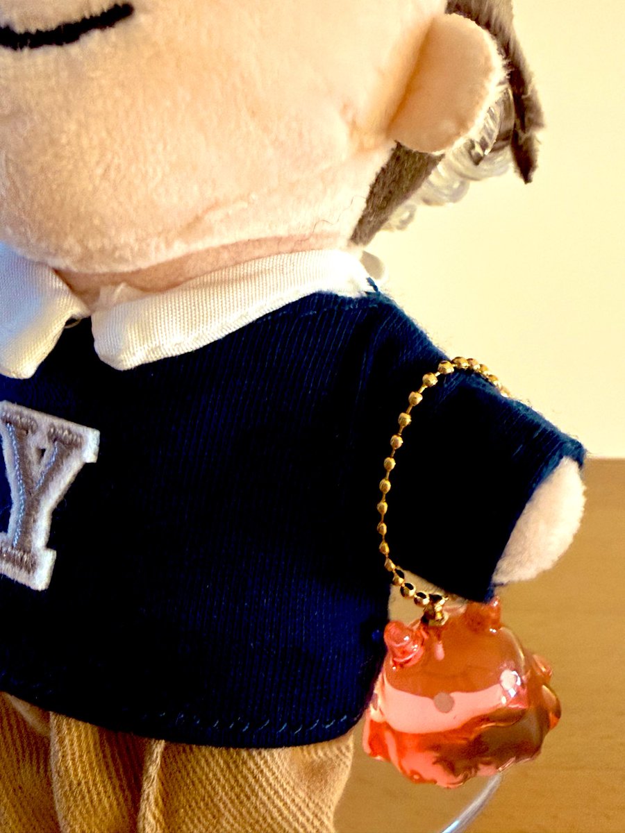 drhrnonuma's tweet photo. ここ数ヶ月のお出かけで集めたかわい子ちゃんたちと一目惚れしたメンダコちゃんを見てくれ https://t.co/svRezRdoEm