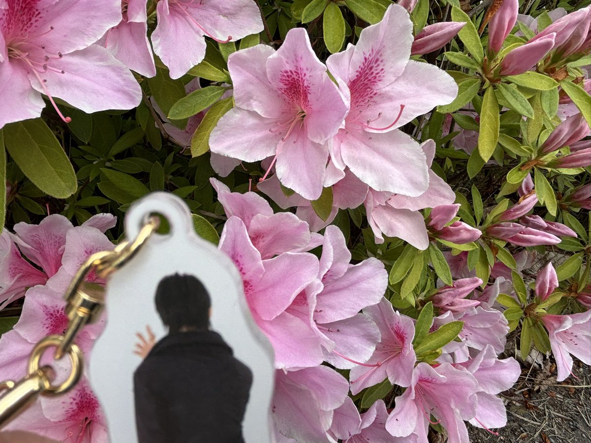 隅川とおる🦀連載中 tweet media