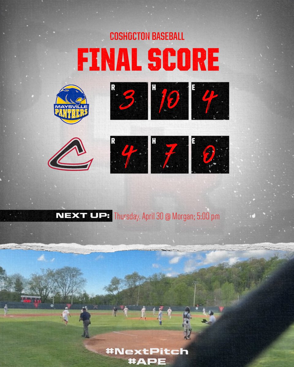 SkinsBaseball's tweet photo. Calan Shaw delivers the walk-off winner, bringing home JJ Herman! Dylan Wood goes the distance with the complete-game win on the bump! #NextPitch #APE https://t.co/oWb3bKFN9I