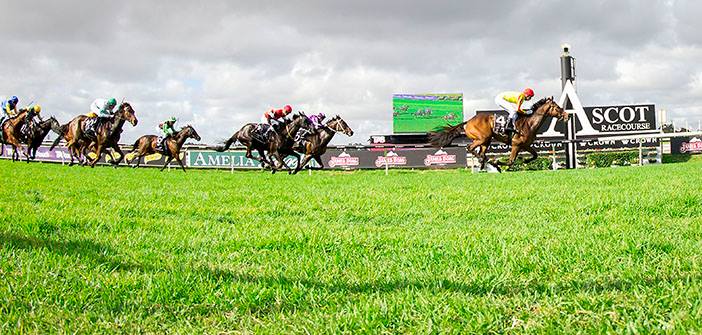 OzRace.com.au tweet media