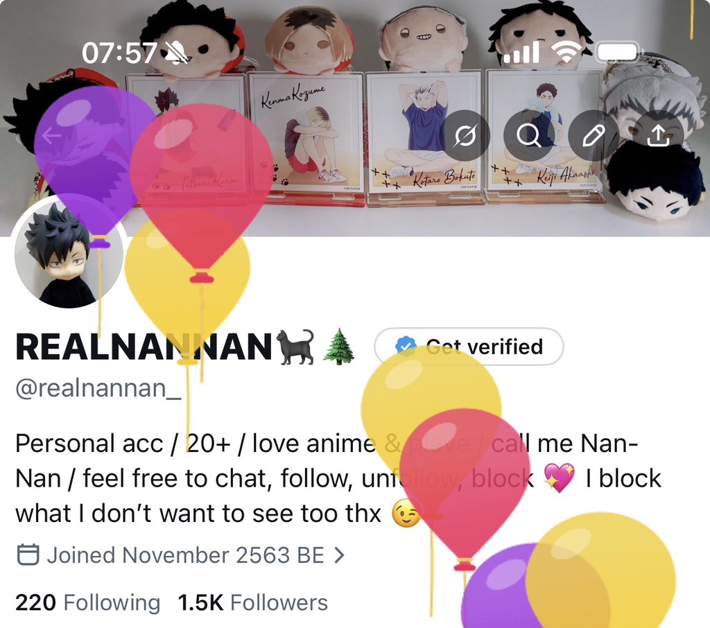 REALNANNAN🐈⬛🌲 tweet media