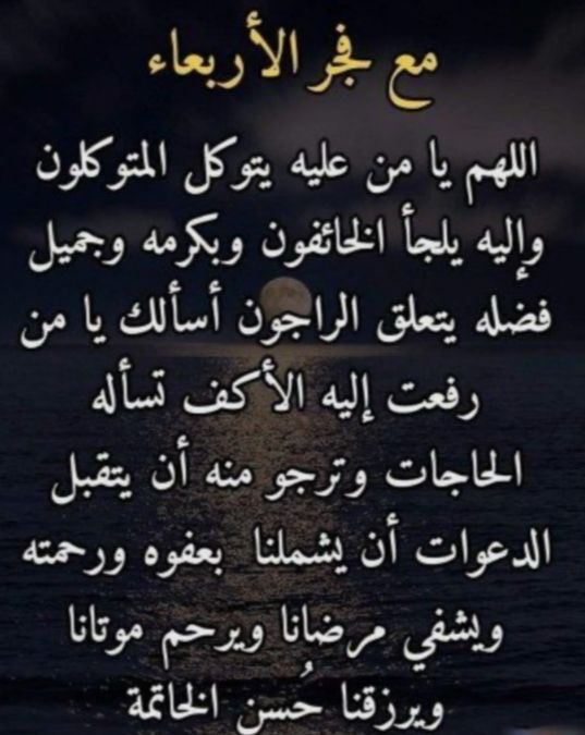 بدر الهاجري tweet media