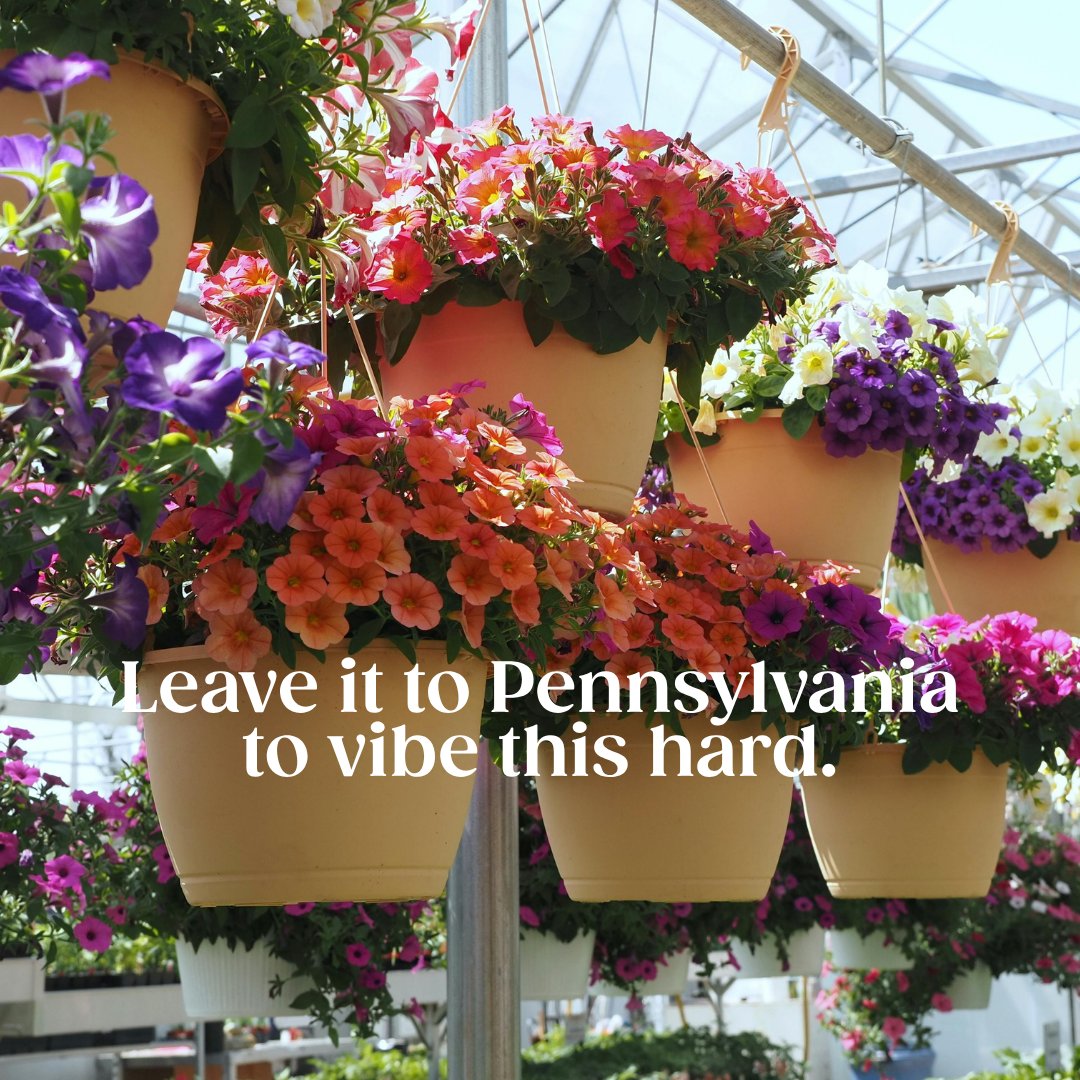 TrulievePA's tweet image. We know the drill.😎 #PA #Spring #Pennsylvania Nothing for sale. For educational and informational purposes only. Must be 21+ to follow.