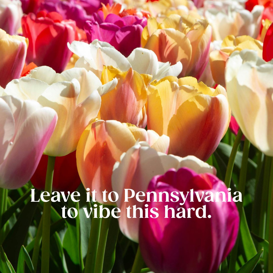 TrulievePA's tweet image. We know the drill.😎 #PA #Spring #Pennsylvania Nothing for sale. For educational and informational purposes only. Must be 21+ to follow.