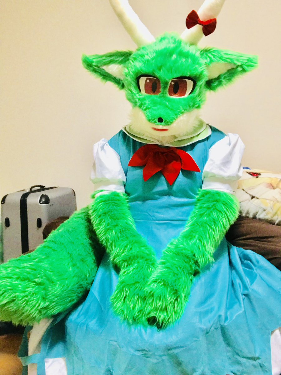 ぱる(팔)@𝙉𝙚𝙭𝙩 ︎例大祭 tweet media