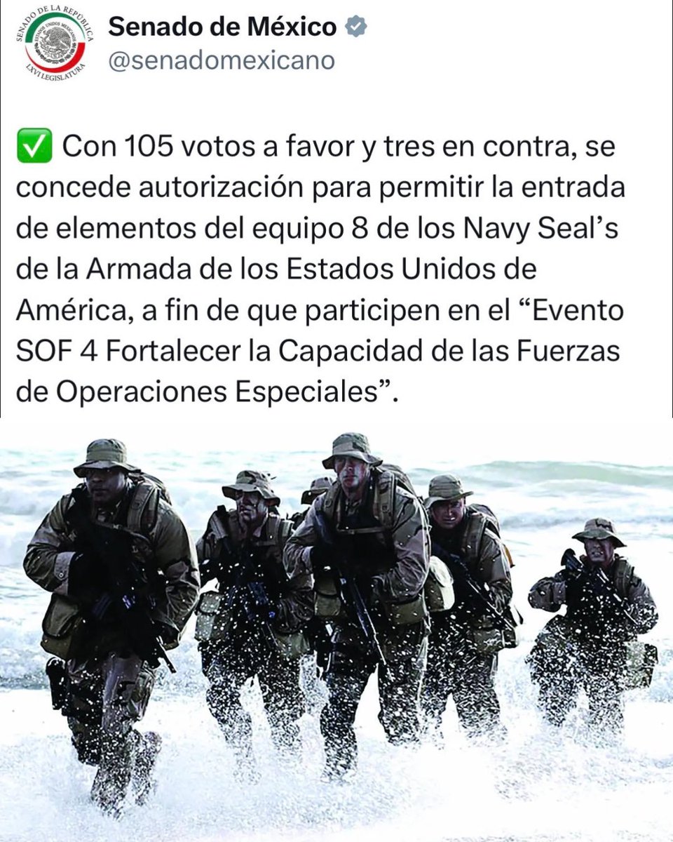 Pipol México tweet media