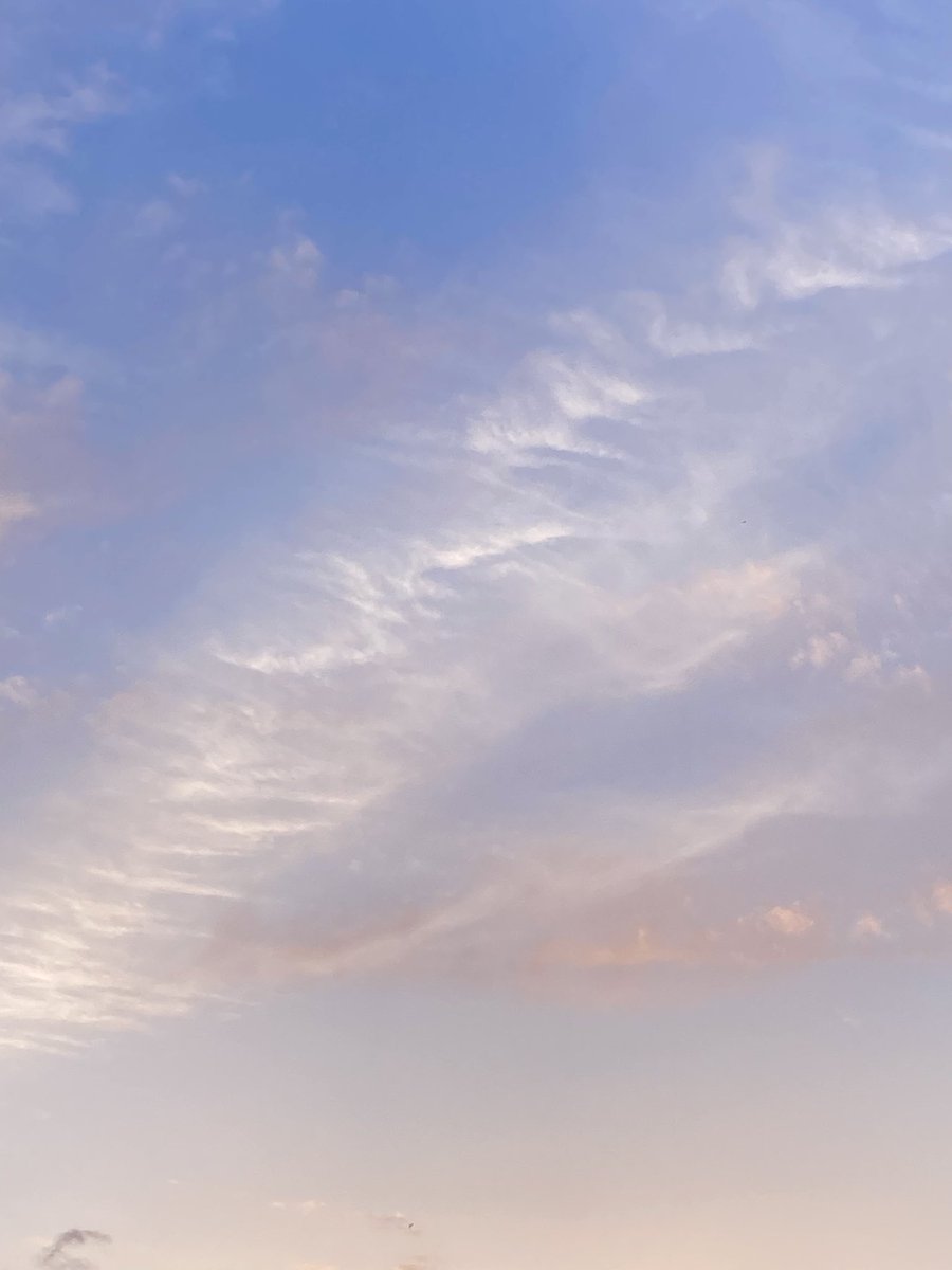 ラッキーママ tweet media