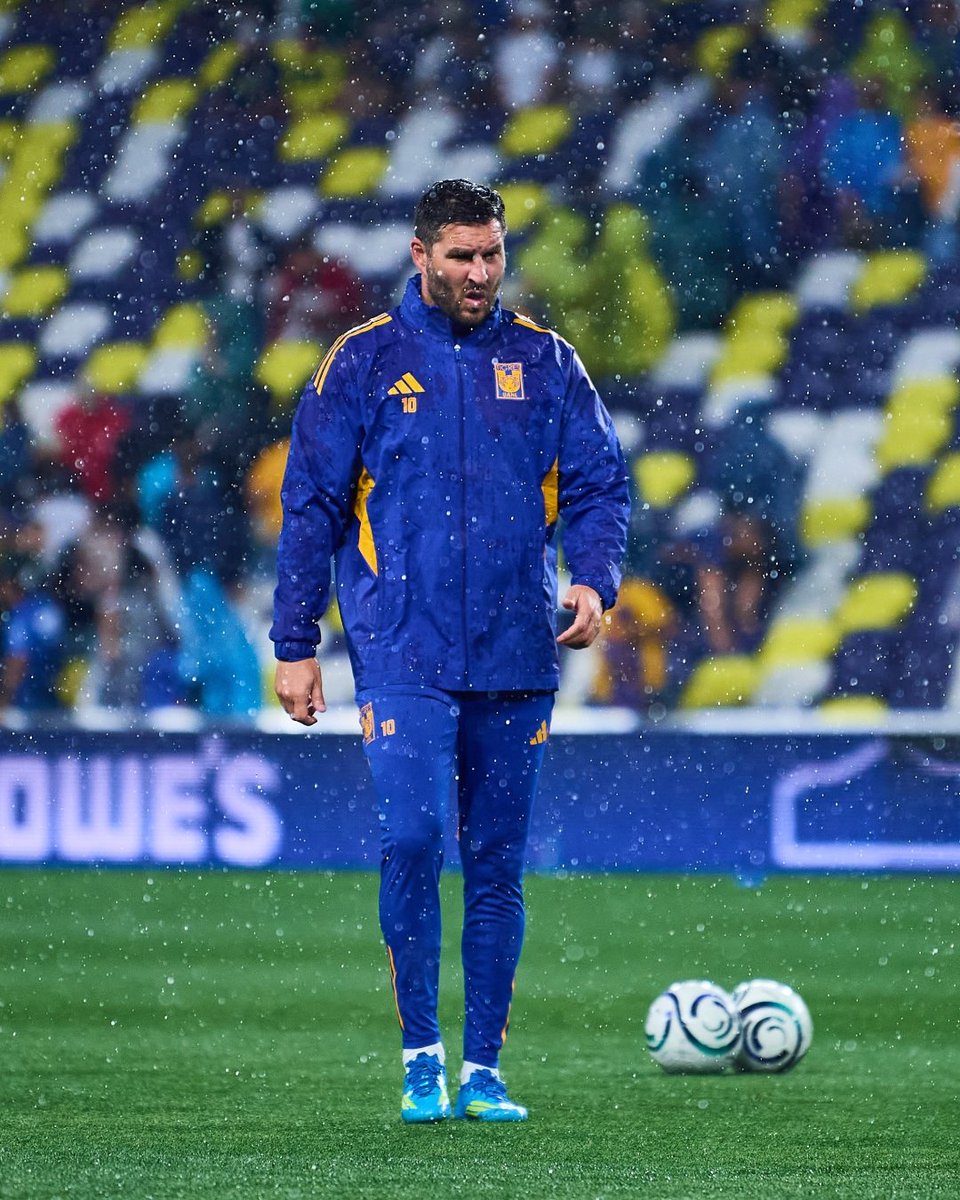Club Tigres 🐯 tweet media