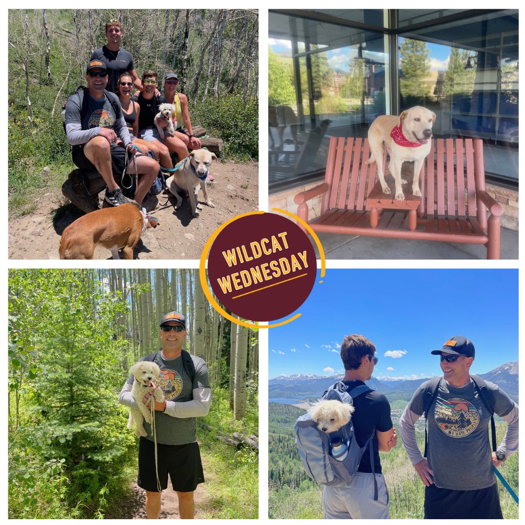 LRSDWildcats's tweet image. Happy Wildcat Wednesday! This week, learn more occupational therapist Kimberly Bergmann by clicking the link below! #WeAreLR

logrog.net/WildcatWednesd…