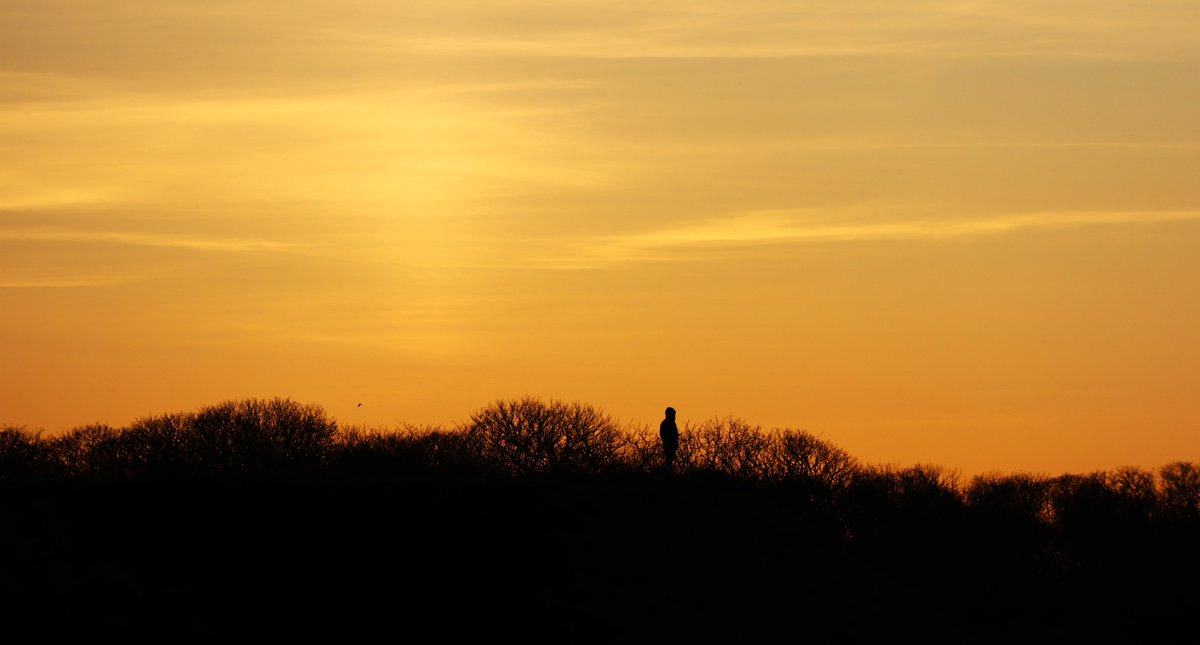 ChildrenOfFire's tweet image. the #bird and the #stranger in the #FarNorth ... #Scotland #Spring #sunset
