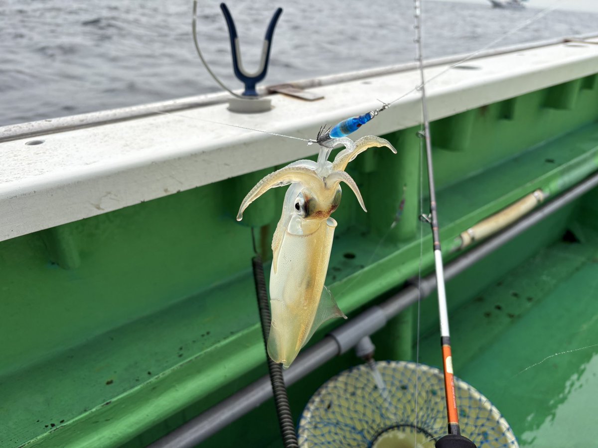 🎣masa🎣 tweet media