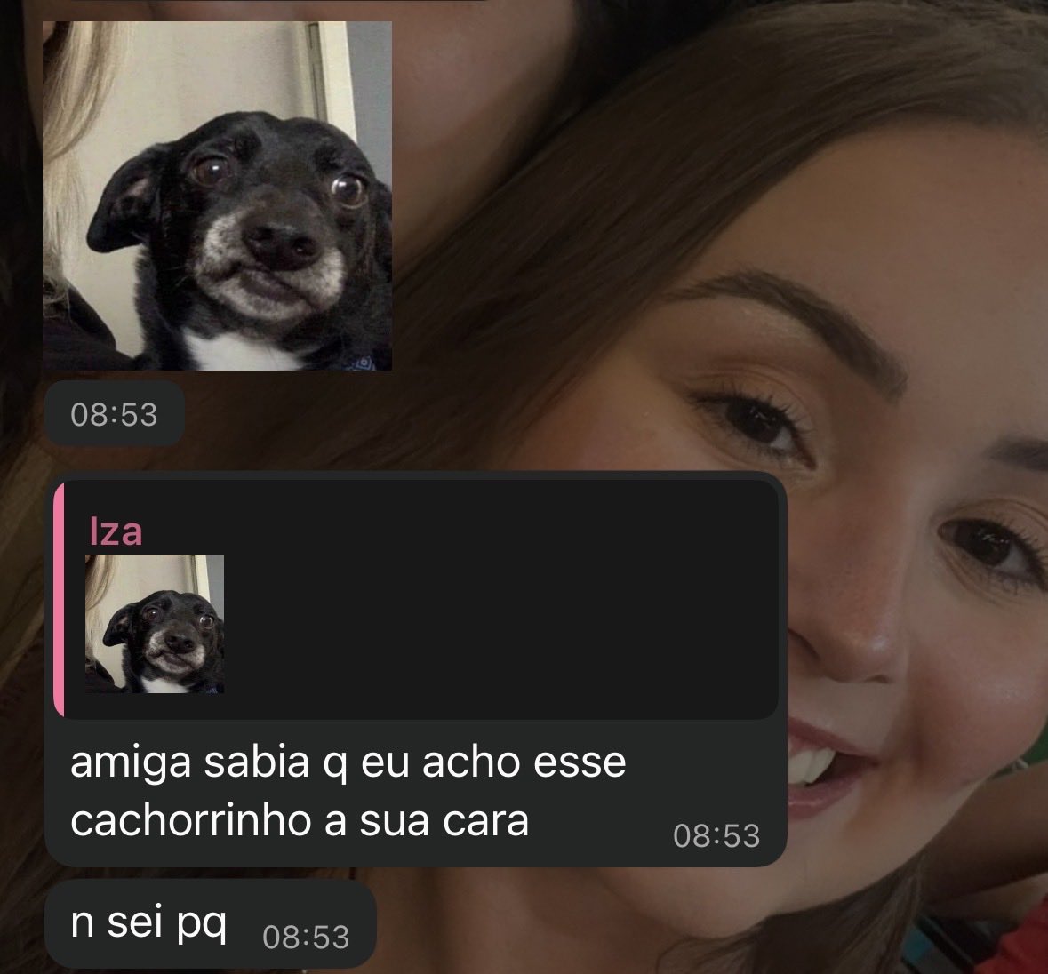 Â-mo fazer exatamente essa expressão do doguinho pra 99% das coisas