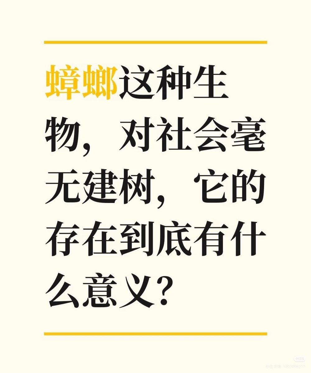 荔枝Q甜(互fo) tweet media