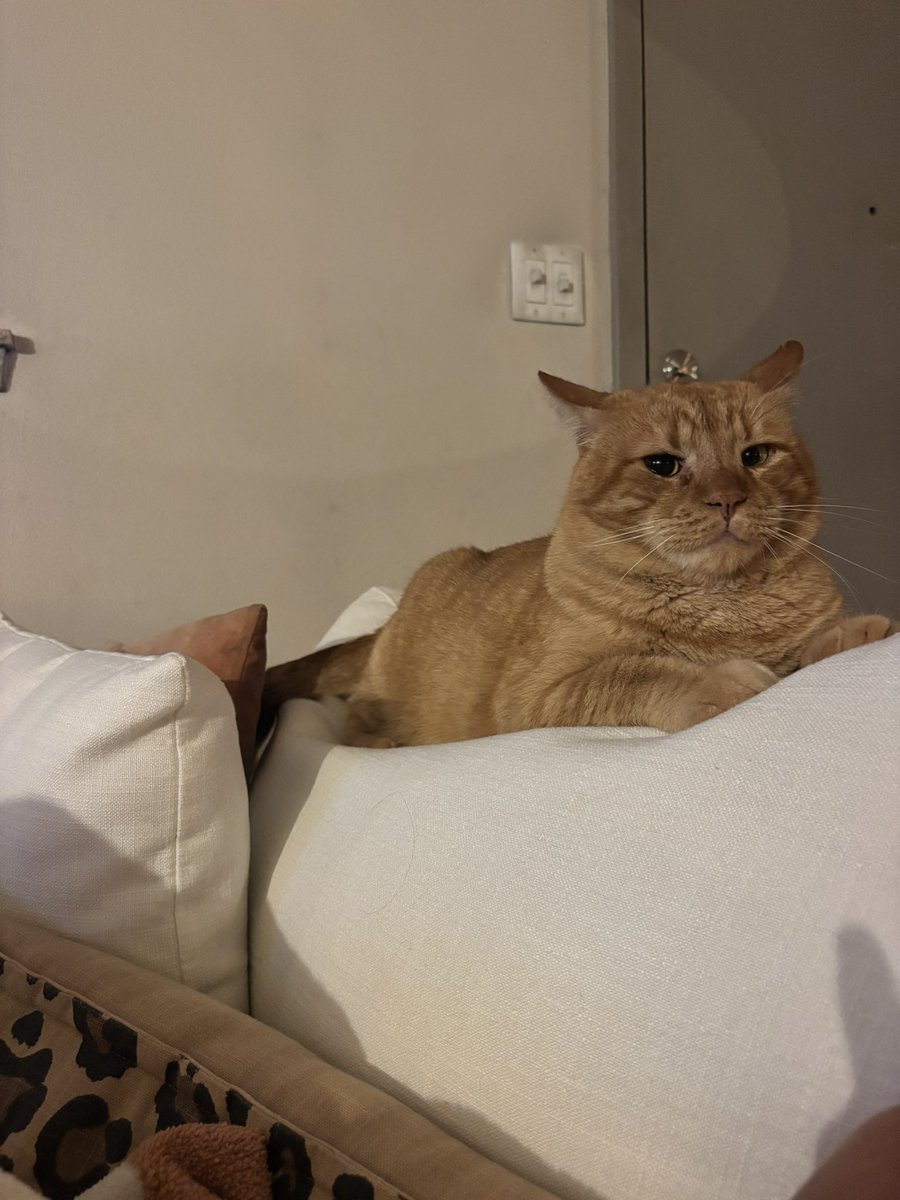 Big Rach tweet media