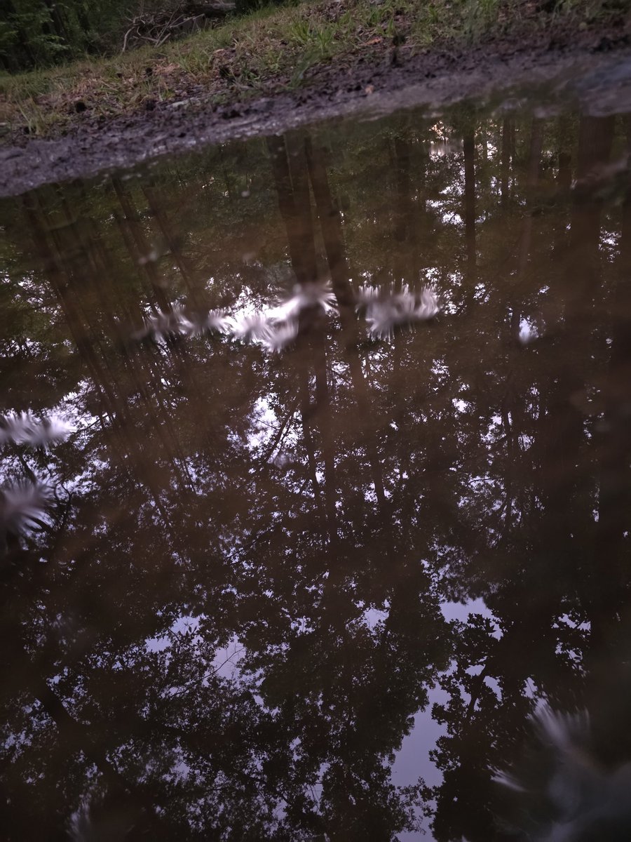 fromthefrost36's tweet image. Sky looks pink tonight 🩷☁️🌆
#Arkansas