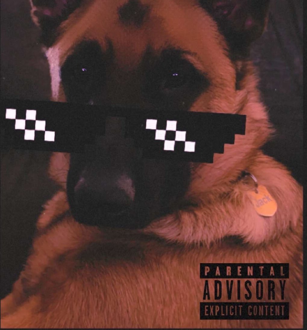 FalcoSingsDeus's tweet image. Ok @LividPd I found your album cover!  

#OPLive #Dogs #GermanShepherd #BelgianMalinois #Drinks #OnPatrolLive #SnapChat