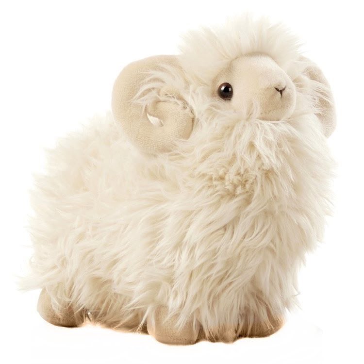 lamb .ᐟ⸝⸝ tweet media