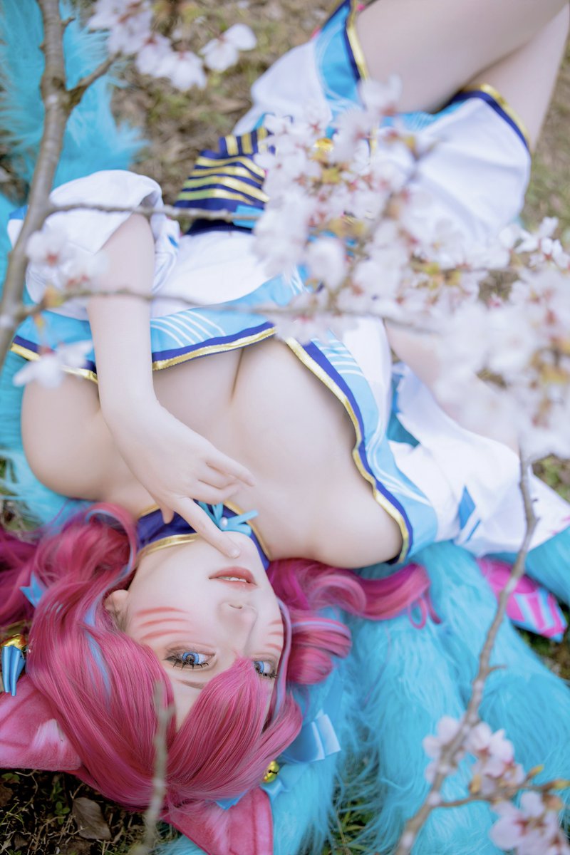 ぽいぬ tweet media