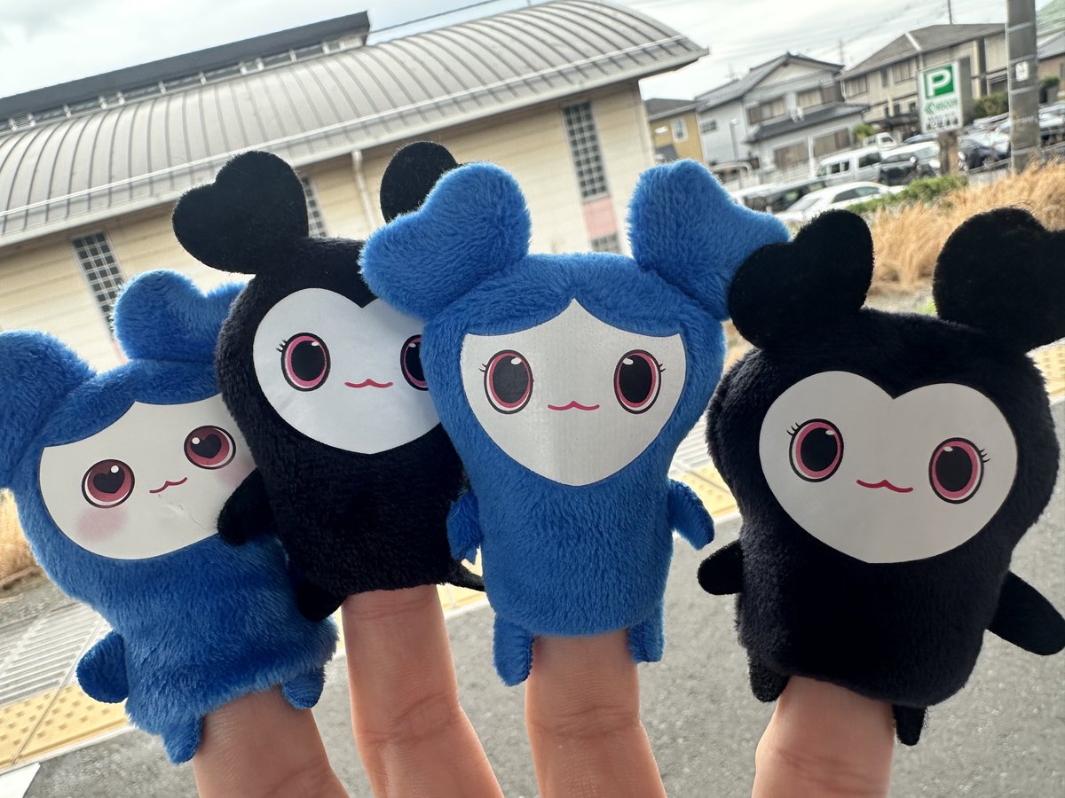 おはよう💙
Concert hangover starts to kick in today 😅