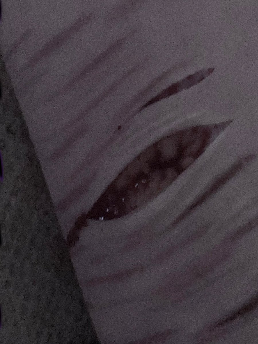 にこん ~ ♡︎ tweet media