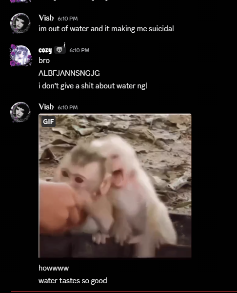 𓆩 Vish 𓆪 tweet media