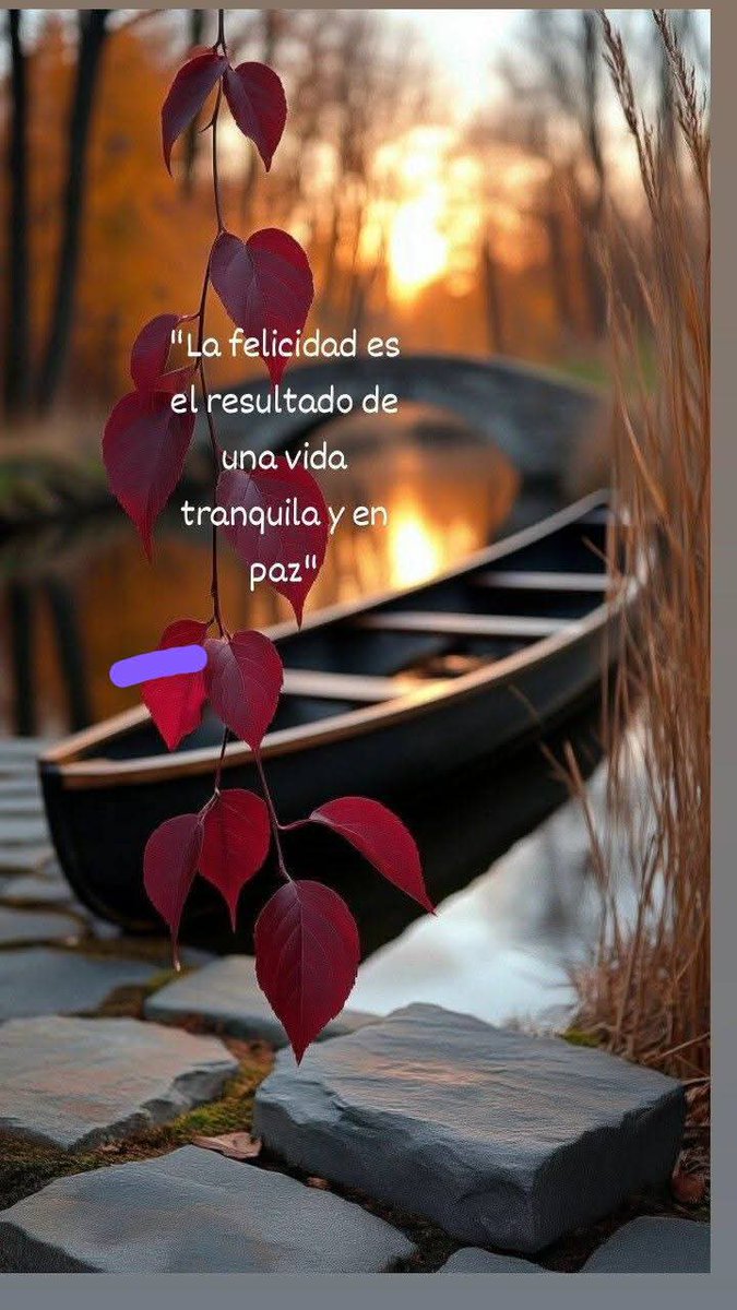 Fernando Rincón tweet media