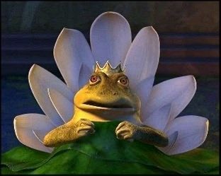 gente pq o sapo do shrek tá falando merda na internet