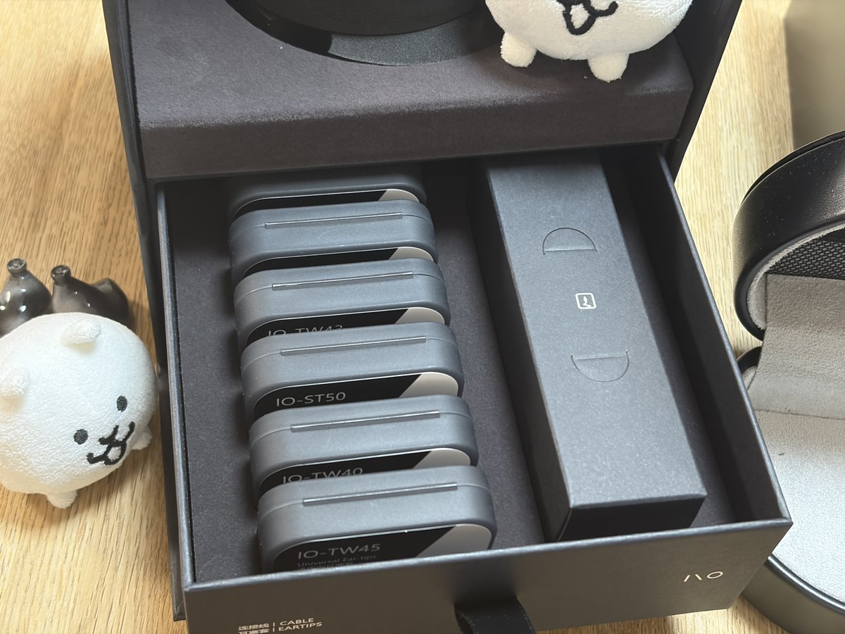 I/O AUDIO CIELO 開封写真4
